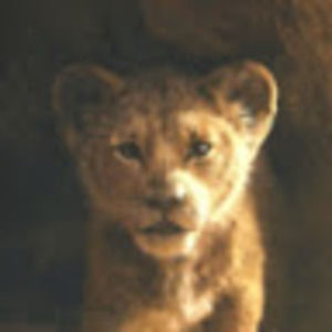 Meet your Posher, Kai